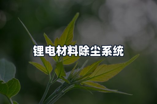 锂电材料除尘系统